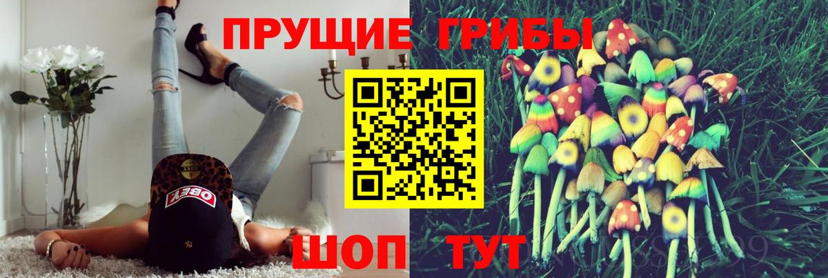 Балашиха  Псилоцибиновые грибы MAGIC MUSHROOMS  Галлюциногенные грибы прущие грибы  где можно купить   Вход с VPN 